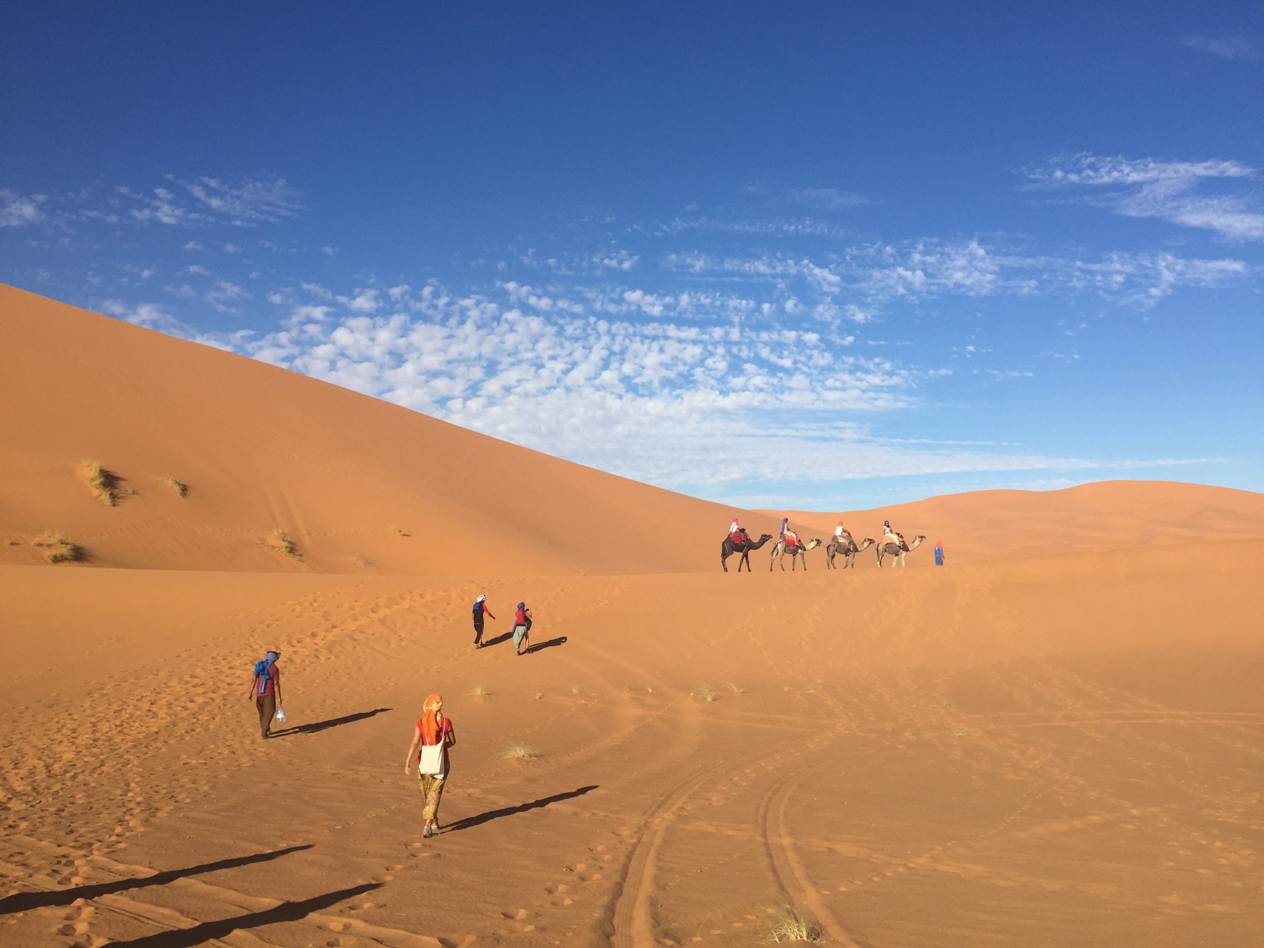Grupo de viajeros con guía local en Marruecos